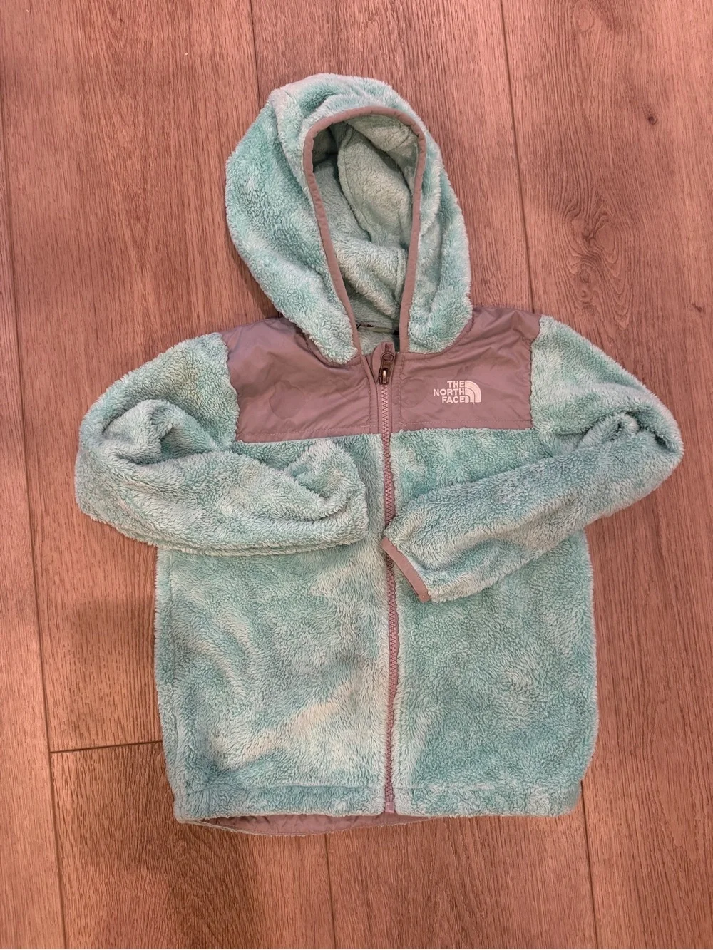 The North Face Kids Mint Green & Gray Sherpa Fleece Hoodie